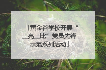 黄金谷学校开展“三亮三比”党员先锋示范系列活动