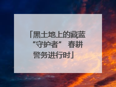 黑土地上的藏蓝“守护者” 春耕警务进行时
