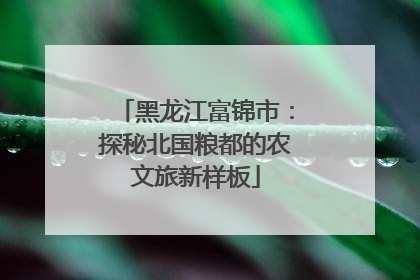 黑龙江富锦市：探秘北国粮都的农文旅新样板