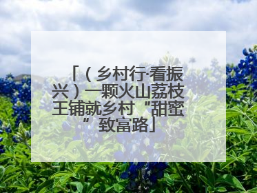 （乡村行·看振兴）一颗火山荔枝王铺就乡村“甜蜜”致富路
