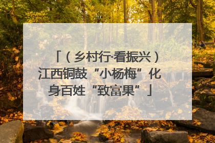 （乡村行·看振兴）江西铜鼓“小杨梅”化身百姓“致富果”