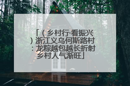 （乡村行·看振兴）浙江义乌何斯路村：龙粽越包越长折射乡村人气渐旺