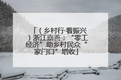 （乡村行·看振兴）浙江嘉善：“零工经济”助乡村民众“家门口”增收