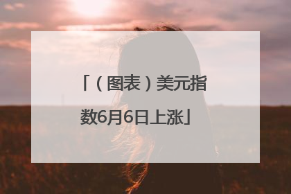 （图表）美元指数6月6日上涨