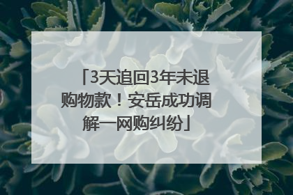 3天追回3年未退购物款！安岳成功调解一网购纠纷