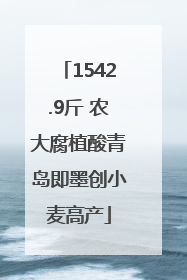 1542.9斤 农大腐植酸青岛即墨创小麦高产