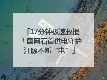17分钟极速救援！国网石首供电守护江豚不断“电”