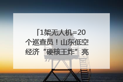 1架无人机=20个巡查员！山东低空经济“硬核王炸”亮相青岛，下一个万亿赛道藏在这里