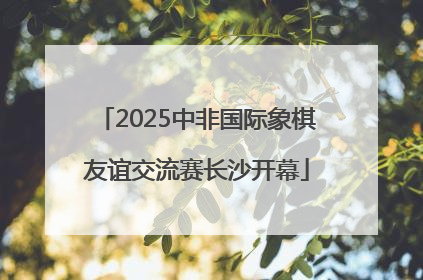2025中非国际象棋友谊交流赛长沙开幕