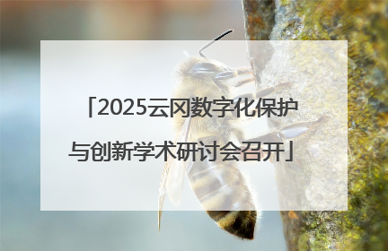 2025云冈数字化保护与创新学术研讨会召开