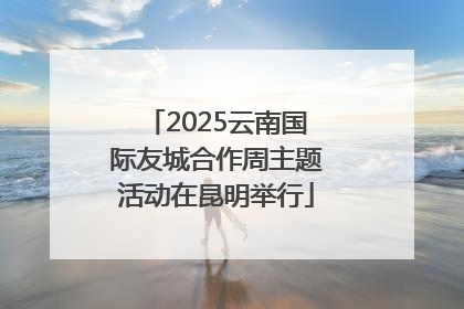 2025云南国际友城合作周主题活动在昆明举行