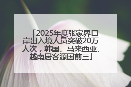 2025年度张家界口岸出入境人员突破20万人次，韩国、马来西亚、越南居客源国前三