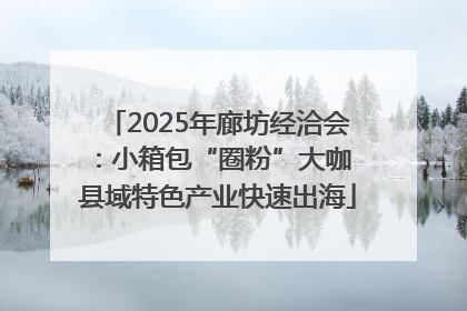 2025年廊坊经洽会：小箱包“圈粉”大咖 县域特色产业快速出海