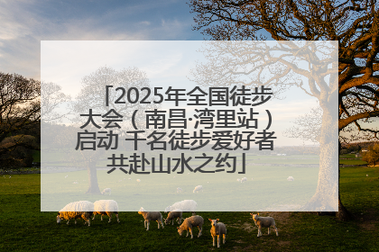 2025年全国徒步大会（南昌·湾里站）启动 千名徒步爱好者共赴山水之约