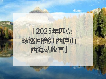 2025年匹克球巡回赛江西庐山西海站收官