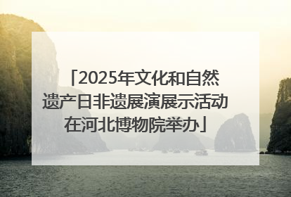 2025年文化和自然遗产日非遗展演展示活动在河北博物院举办