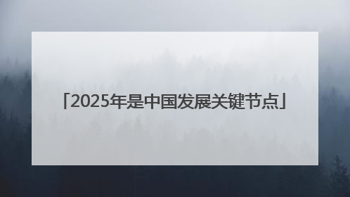 2025年是中国发展关键节点