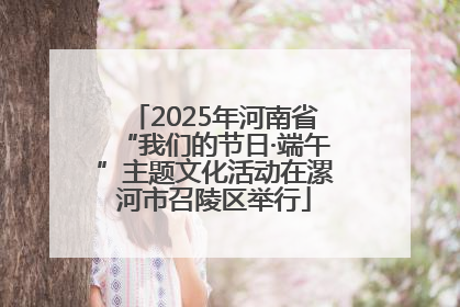 2025年河南省“我们的节日·端午”主题文化活动在漯河市召陵区举行