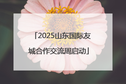 2025山东国际友城合作交流周启动