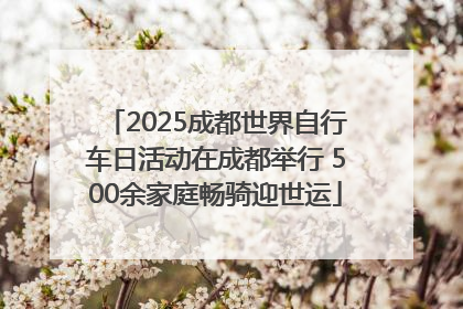 2025成都世界自行车日活动在成都举行 500余家庭畅骑迎世运