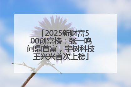 2025新财富500创富榜：张一鸣问鼎首富，宇树科技王兴兴首次上榜