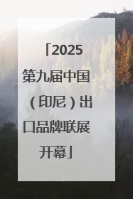 2025第九届中国（印尼）出口品牌联展开幕