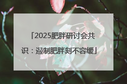 2025肥胖研讨会共识：遏制肥胖刻不容缓