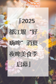 2025都江堰“好嗨啤”消夏夜啤美食季启幕