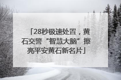28秒极速处置，黄石交警“智慧大脑”擦亮平安黄石新名片