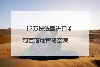 2万株法国进口葡萄苗落地青岛空港