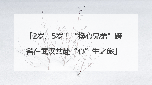 2岁、5岁！“换心兄弟”跨省在武汉共赴“心”生之旅