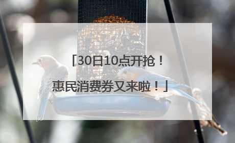 30日10点开抢！惠民消费券又来啦！
