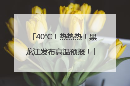 40℃！热热热！黑龙江发布高温预报！