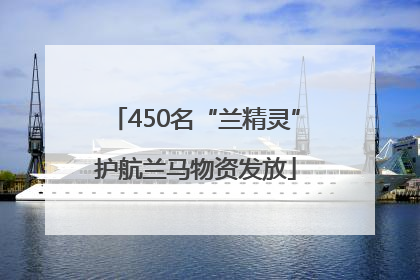 450名“兰精灵”护航兰马物资发放