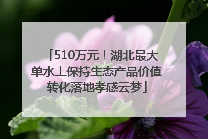510万元！湖北最大单水土保持生态产品价值转化落地孝感云梦