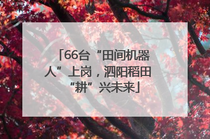 66台“田间机器人”上岗，泗阳稻田“耕”兴未来