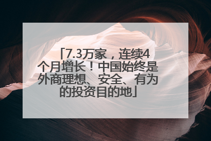 7.3万家，连续4个月增长！中国始终是外商理想、安全、有为的投资目的地