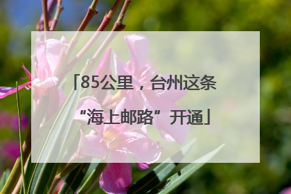 85公里，台州这条“海上邮路”开通