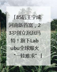 85后王宁成河南新首富，23岁创立泡泡玛特！旗下Labubu全球爆火“一娃难求”