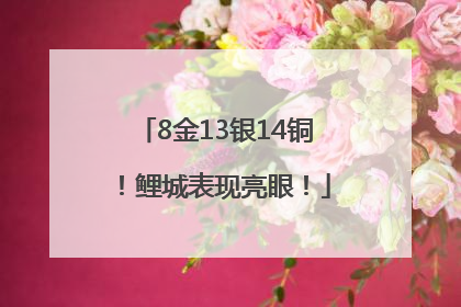 8金13银14铜！鲤城表现亮眼！