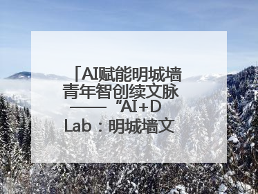 AI赋能明城墙 青年智创续文脉——“AI+D Lab：明城墙文化遗产设计工作坊”在南京开营
