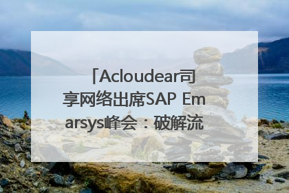 Acloudear司享网络出席SAP Emarsys峰会：破解流量困局，驱动精准增长