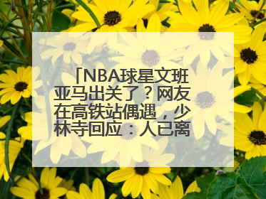 NBA球星文班亚马出关了？网友在高铁站偶遇，少林寺回应：人已离开寺院