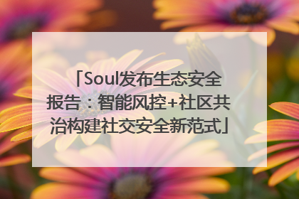 Soul发布生态安全报告：智能风控+社区共治构建社交安全新范式