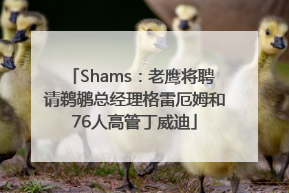 Shams：老鹰将聘请鹈鹕总经理格雷厄姆和76人高管丁威迪