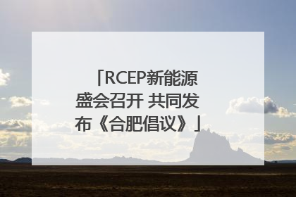 RCEP新能源盛会召开 共同发布《合肥倡议》